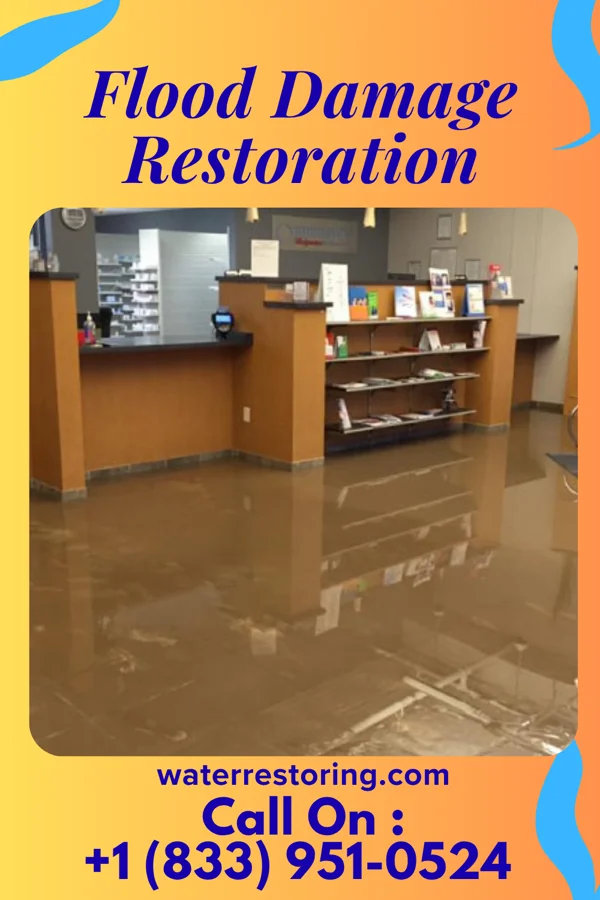 Flood Damage Restoration in Hayden, CO